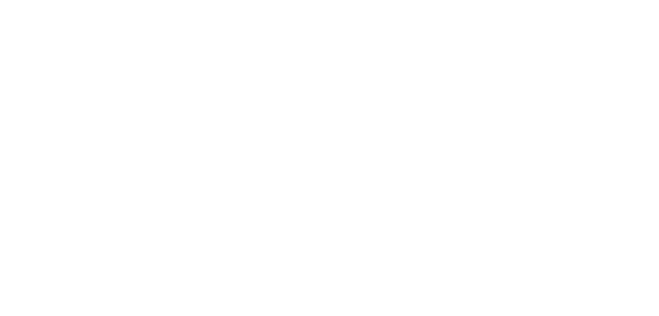 Logo ST Cold Storage Doors
